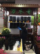 花架